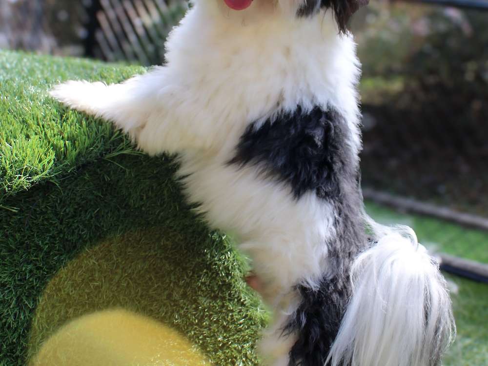 Guardian Home for Mateo