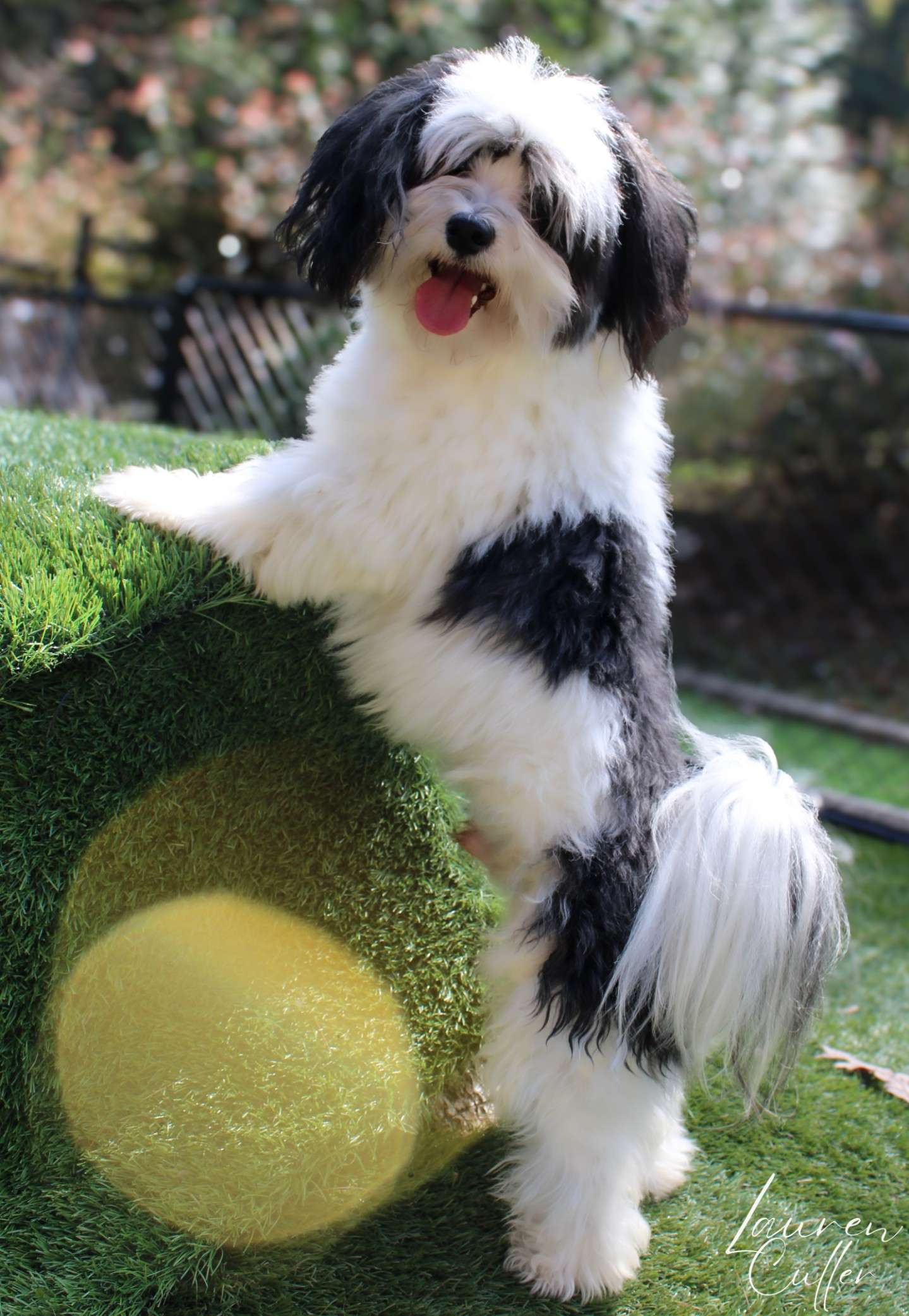 Guardian Home for Mateo