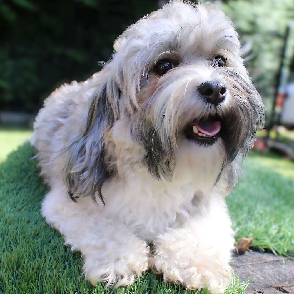 Gabby of Grayfinn House