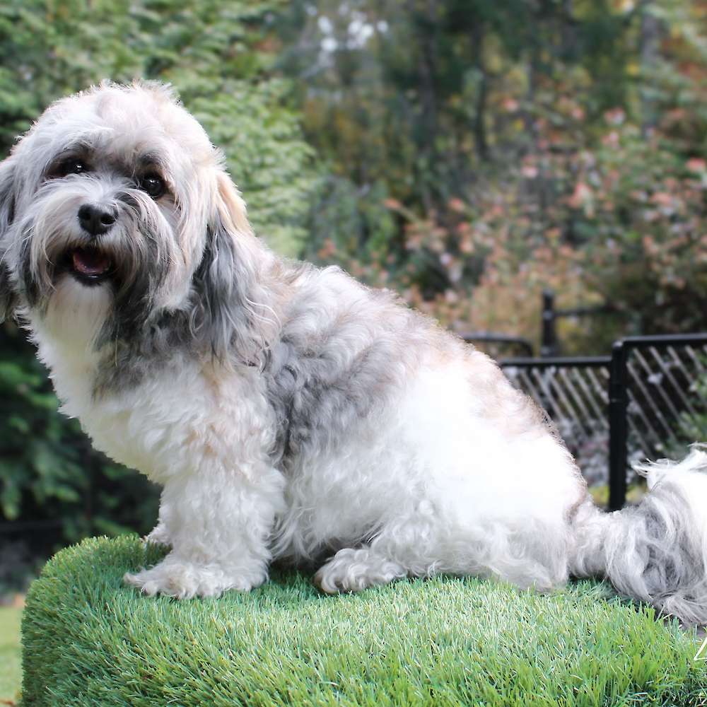 Gabby of Grayfinn House