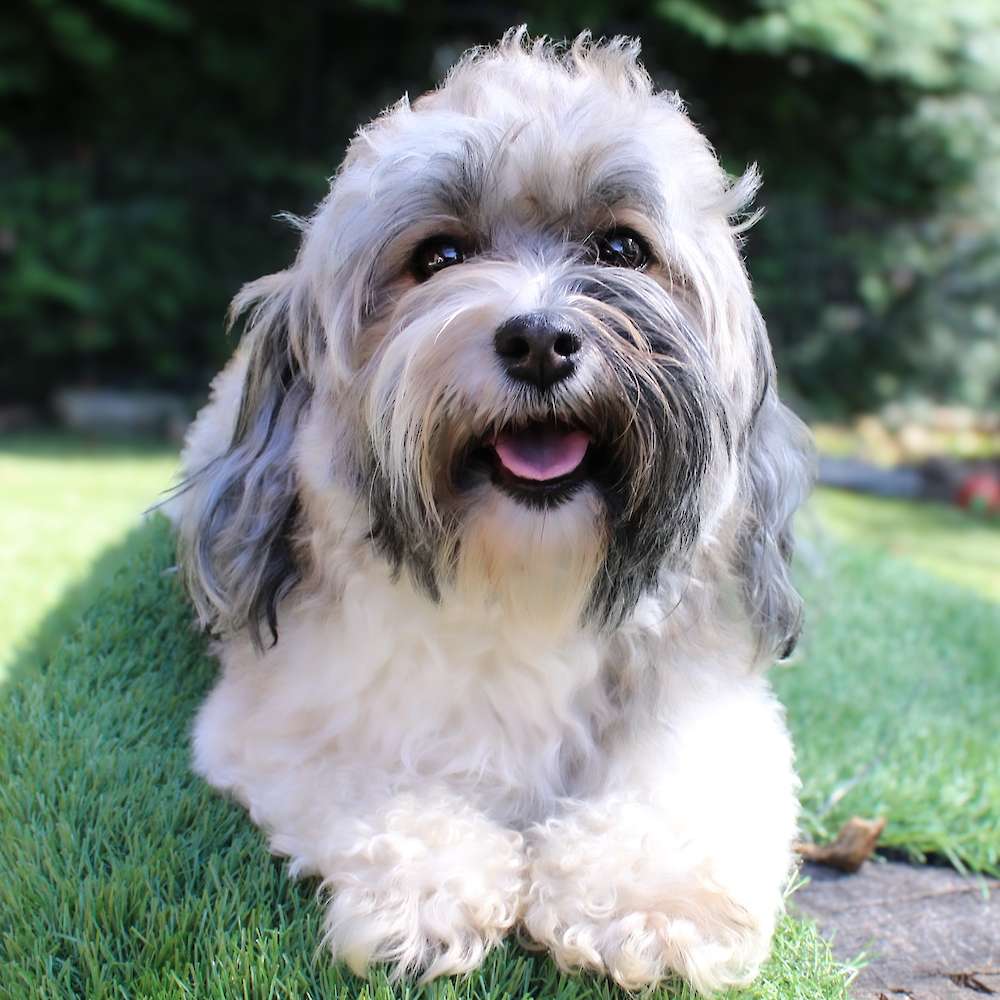 Gabby of Grayfinn House