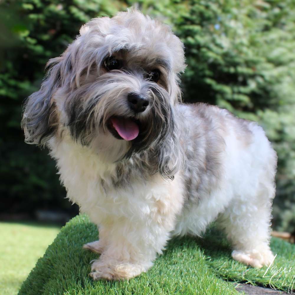 Gabby of Grayfinn House