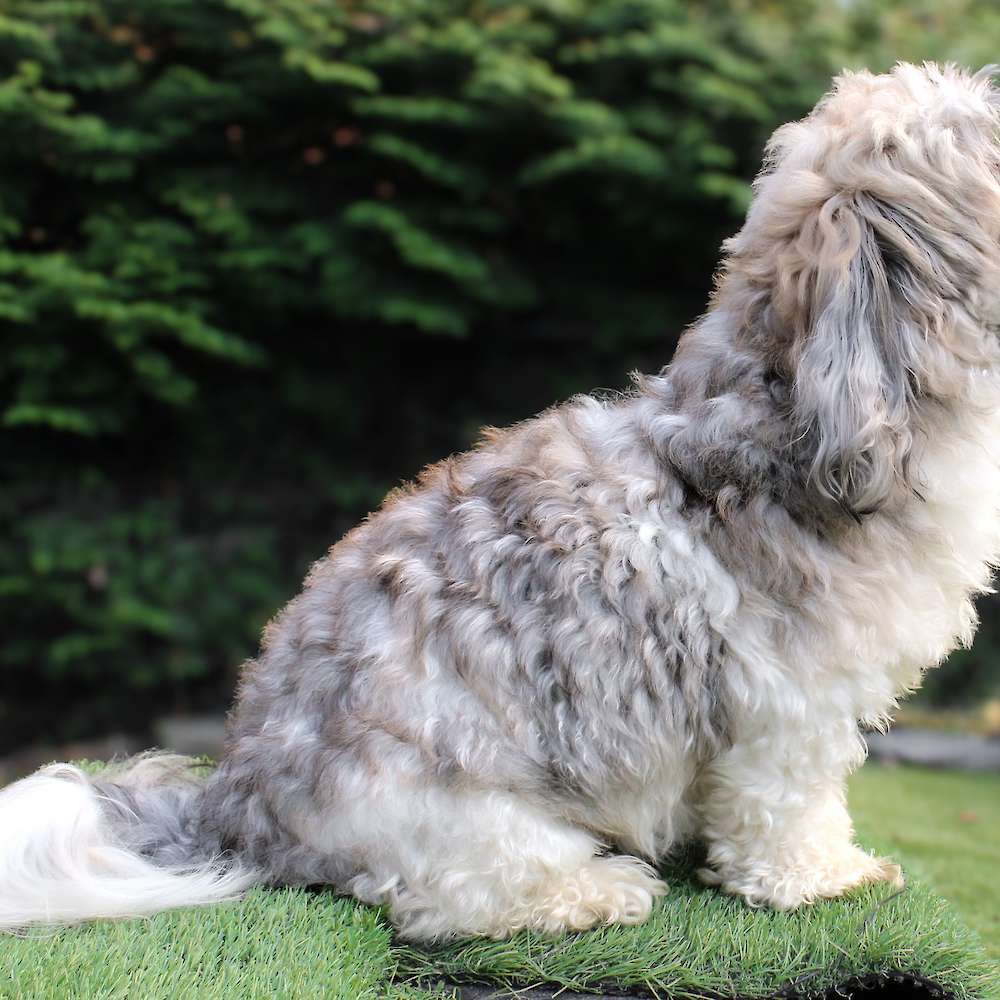 Gabby of Grayfinn House