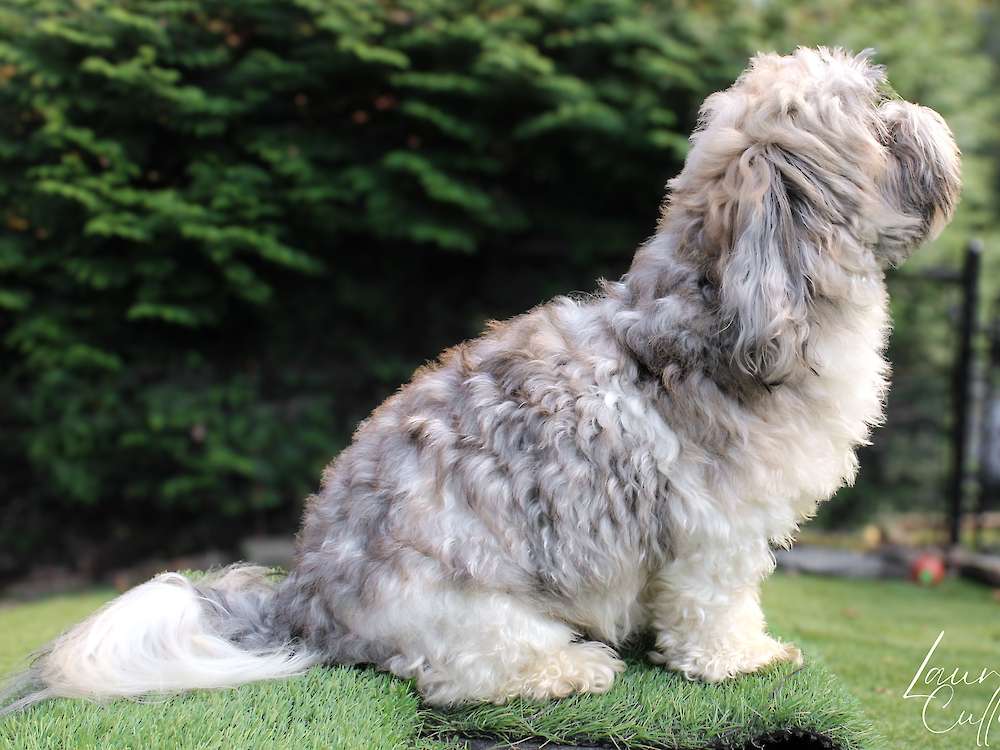 Gabby of Grayfinn House