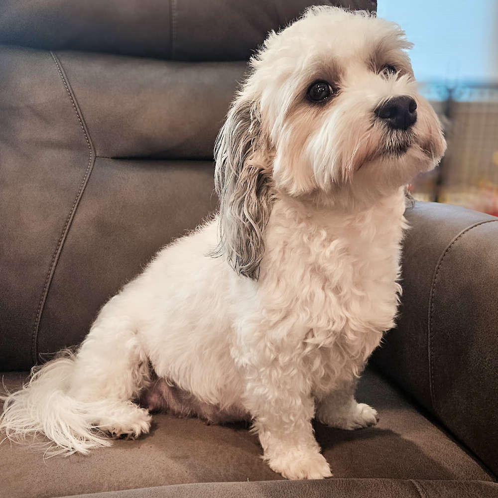 Taylor Made For You of Grayfinn House