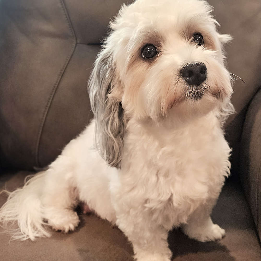 Taylor Made For You of Grayfinn House