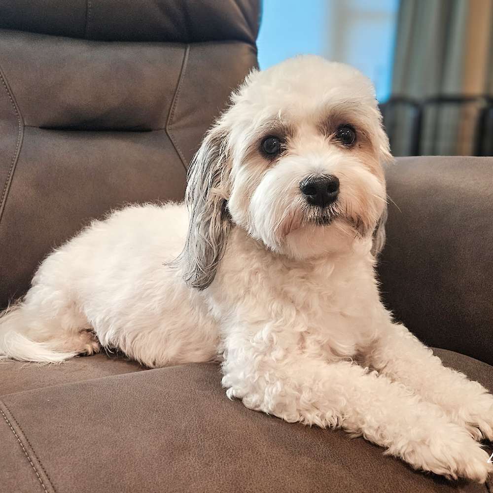 Taylor Made For You of Grayfinn House