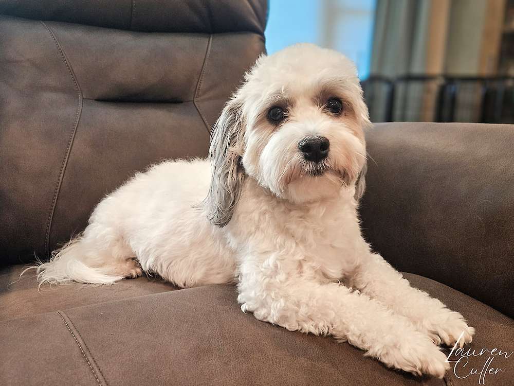 Taylor Made For You of Grayfinn House