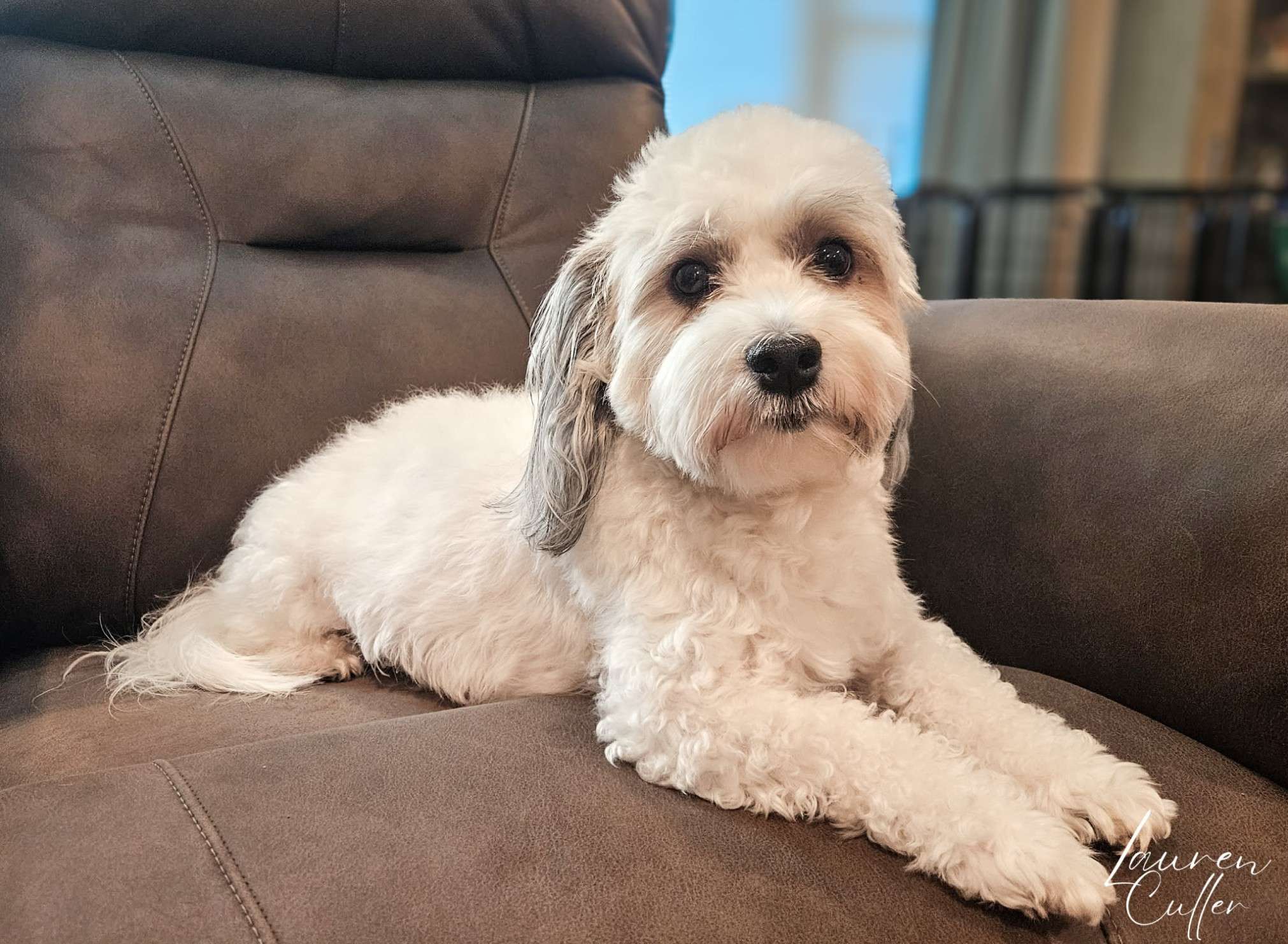 Taylor Made For You of Grayfinn House